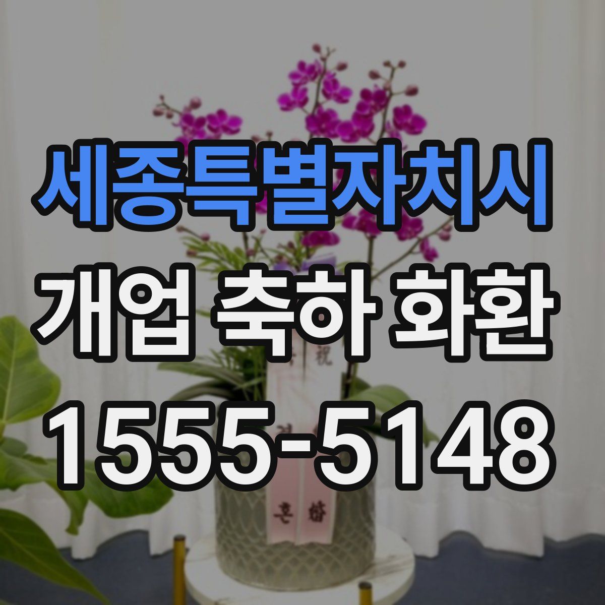 세종특별자치시 개업 축하 화환