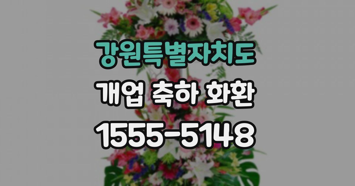 강원특별자치도 개업 축하 화환