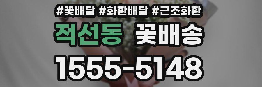 적선동 꽃배송