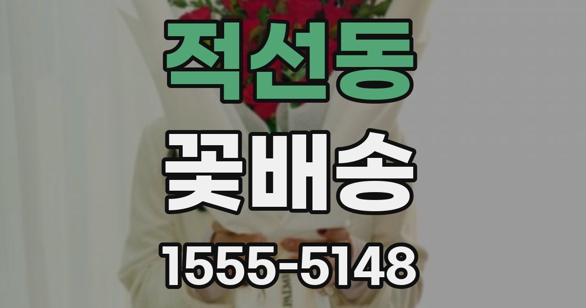 적선동 꽃배송