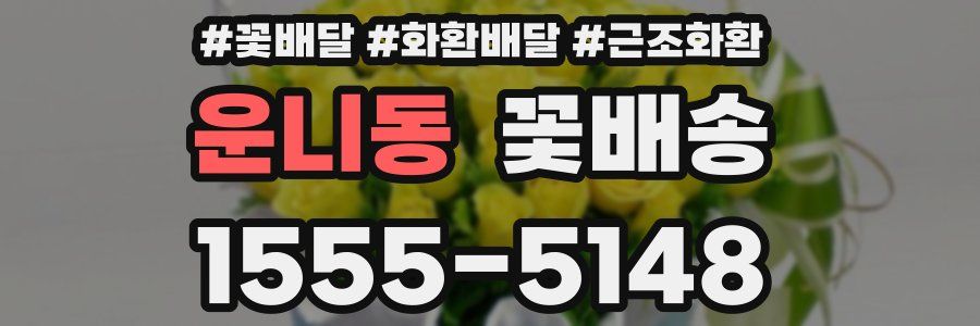 운니동 꽃배송