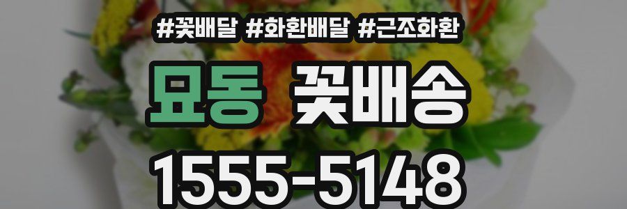 묘동 꽃배송