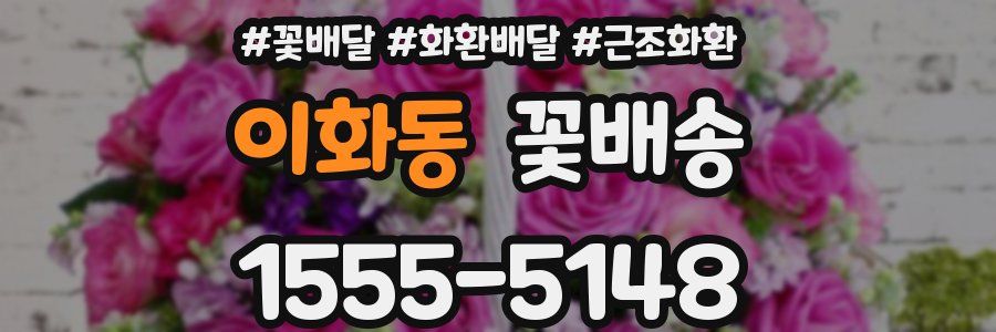 이화동 꽃배송