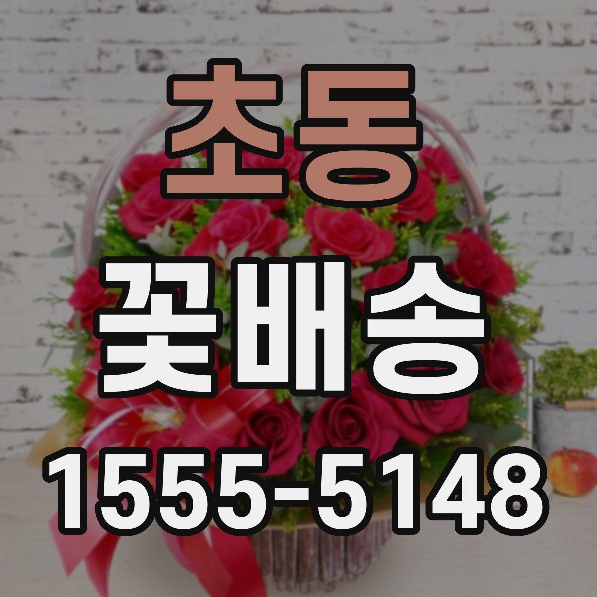 초동 꽃배송 생화와 조화 중 무엇이 맞을까