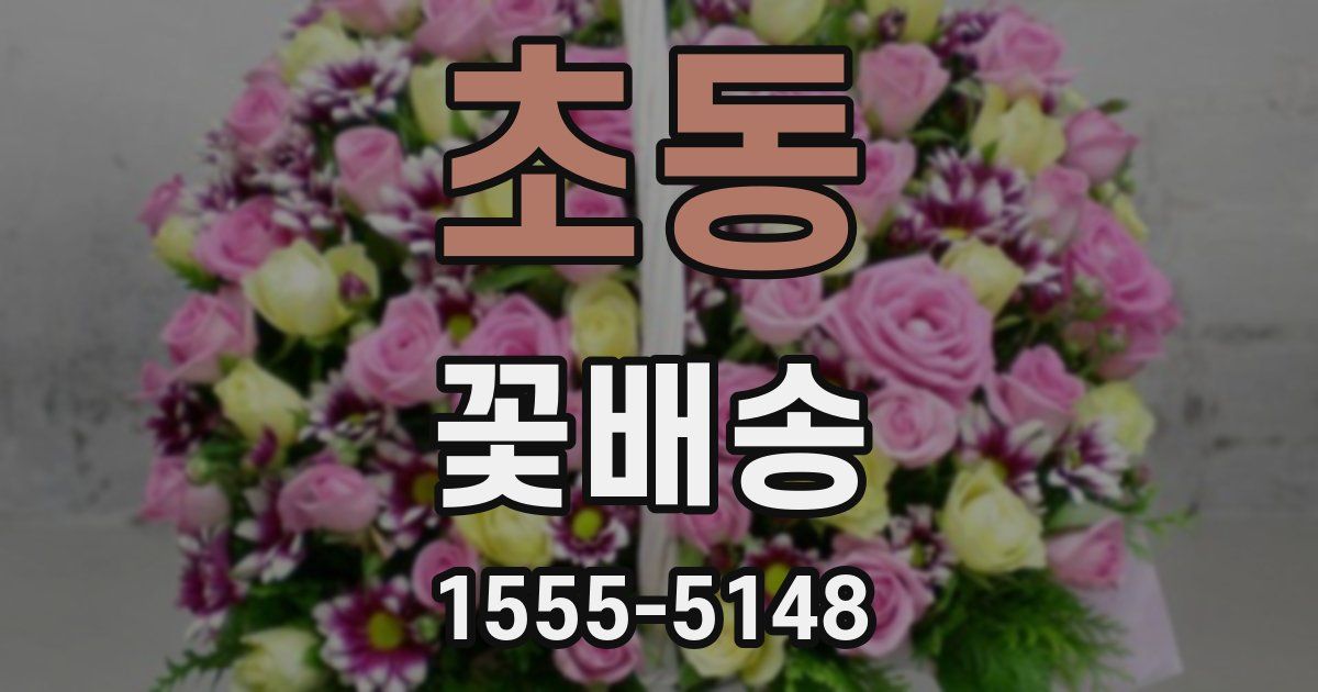초동 꽃배송