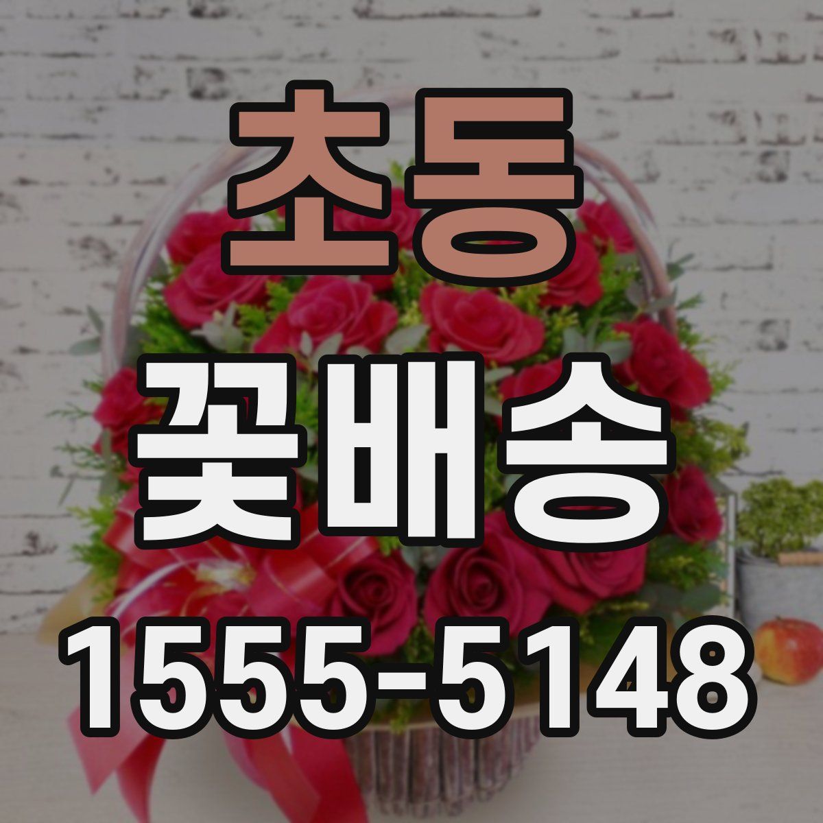 초동 꽃배송