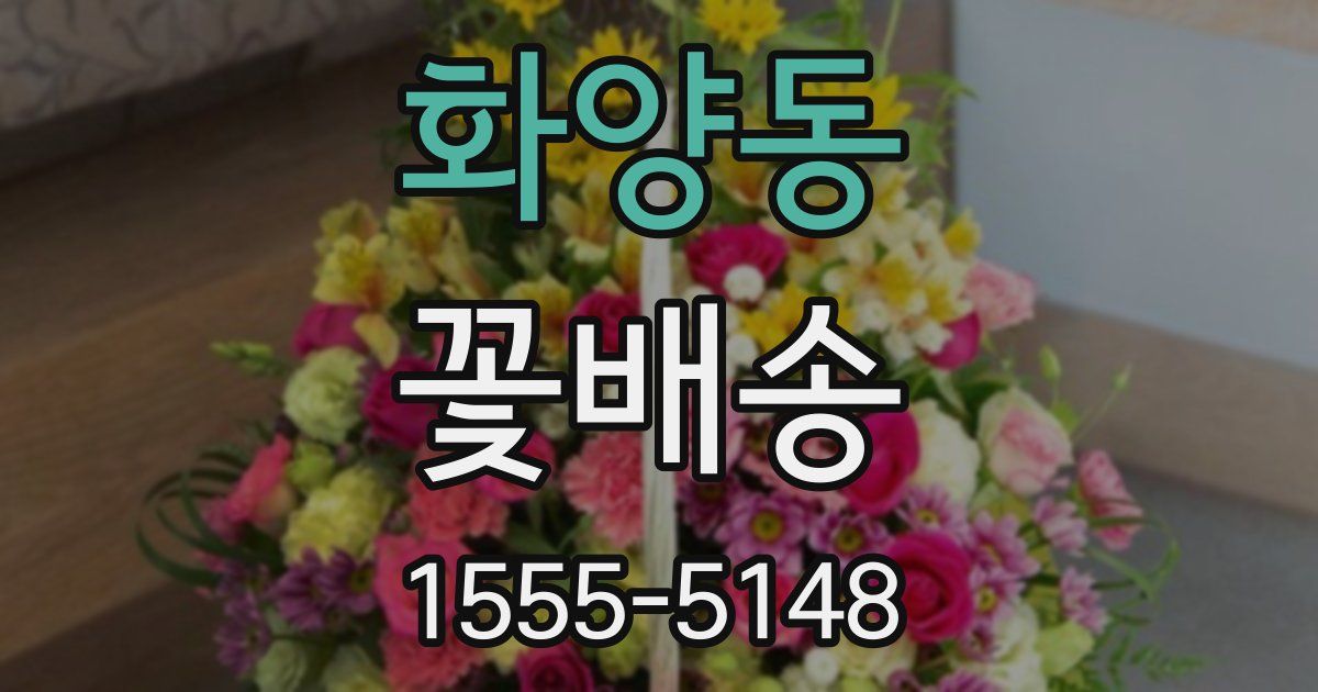 화양동 꽃배송