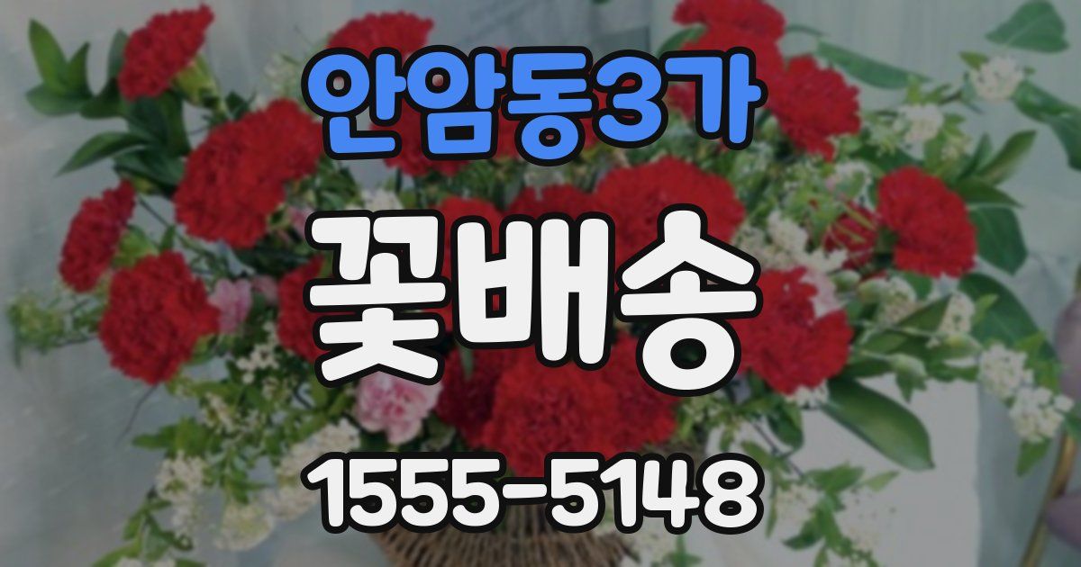 안암동3가 꽃배송
