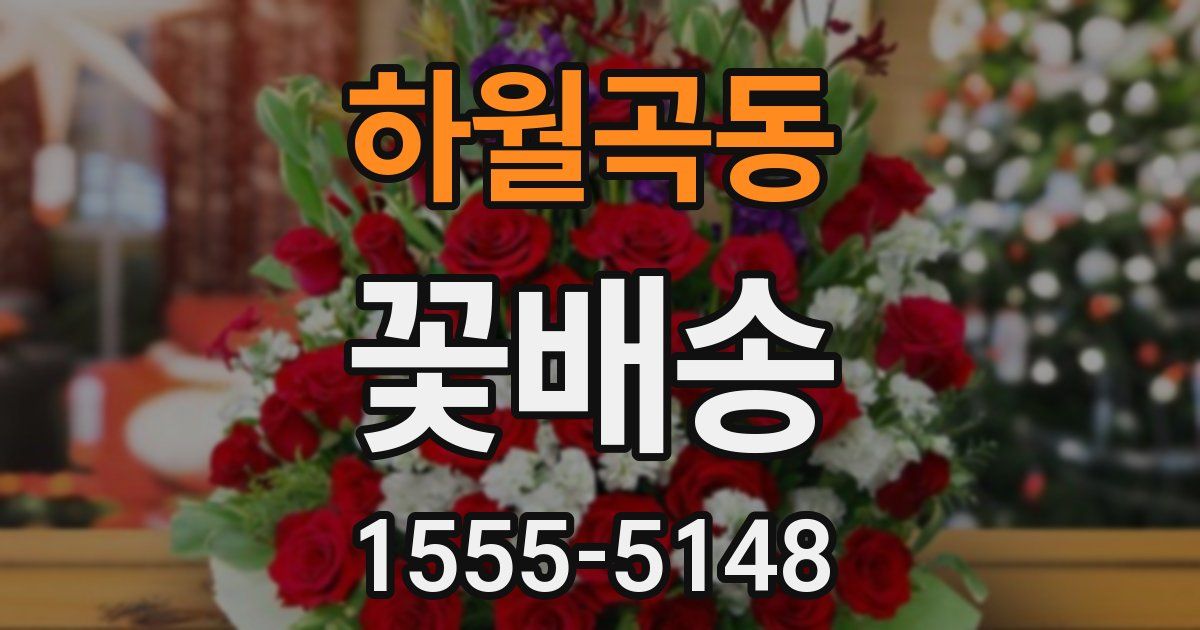 하월곡동 꽃배송