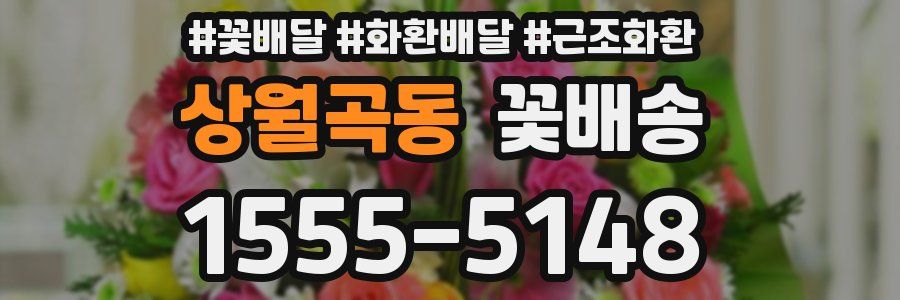 상월곡동 꽃배송