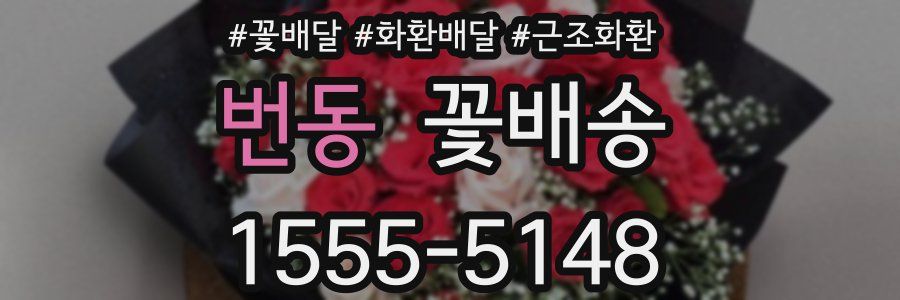 번동 꽃배송