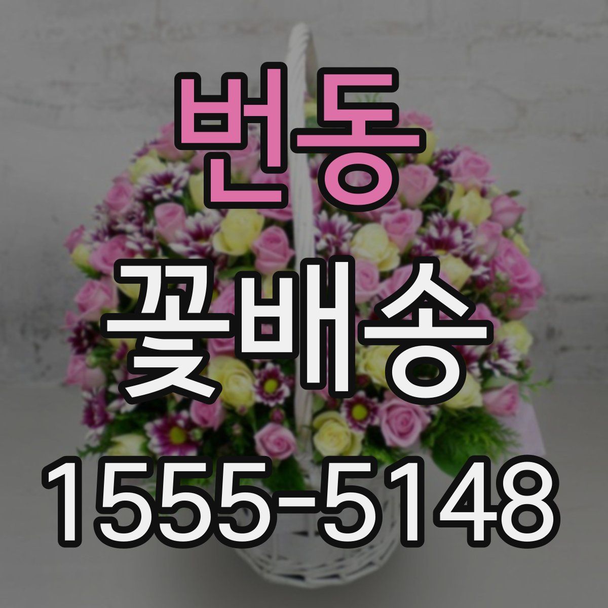 번동 꽃배송