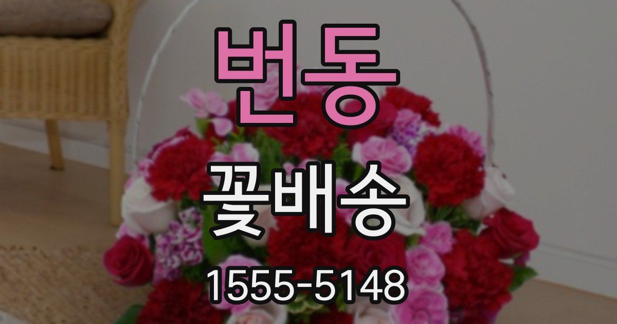 번동 꽃배송