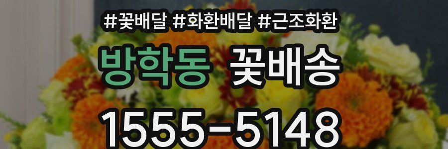 방학동 꽃배송