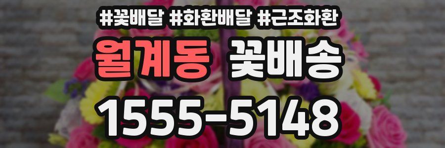 월계동 꽃배송