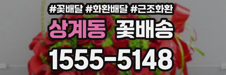 상계동 꽃배송