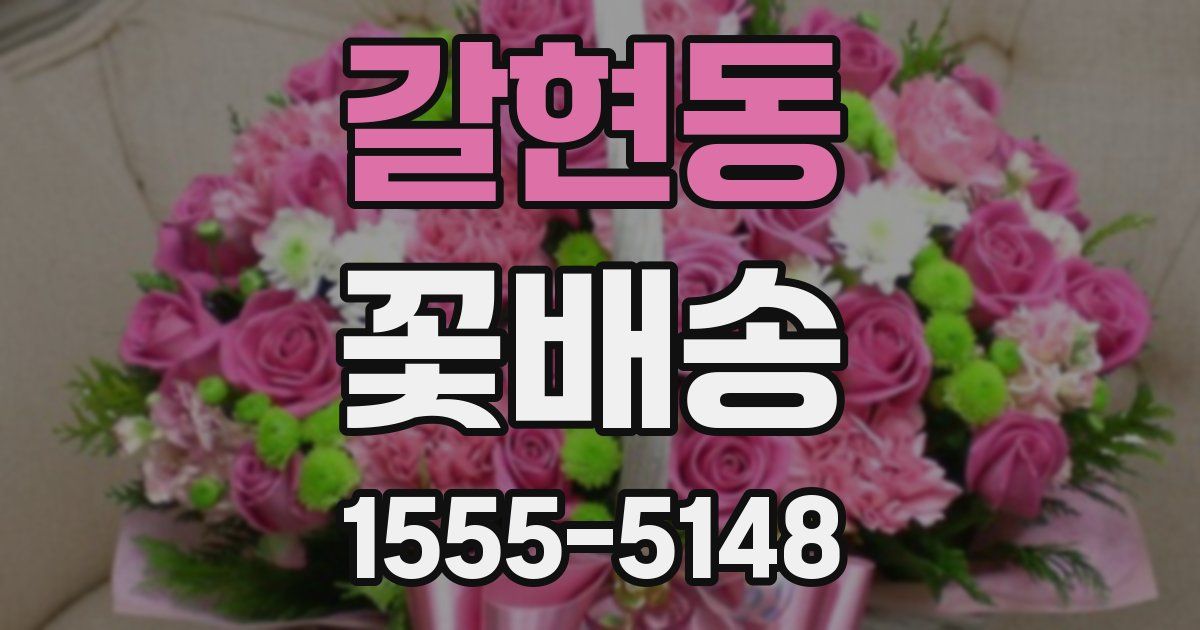 갈현동 꽃배송