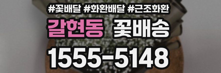 갈현동 꽃배송