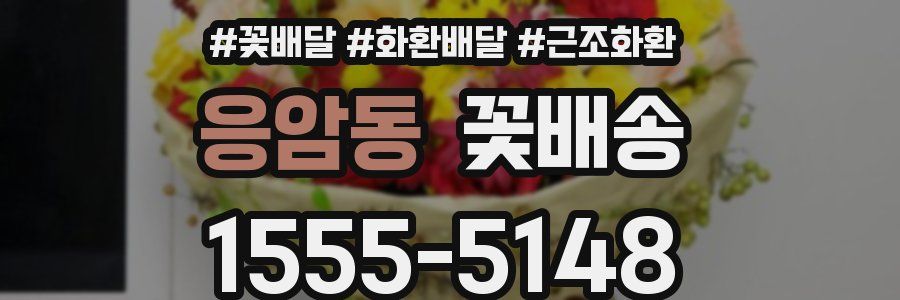 응암동 꽃배송
