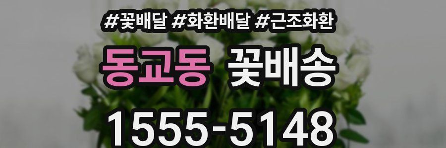 동교동 꽃배송