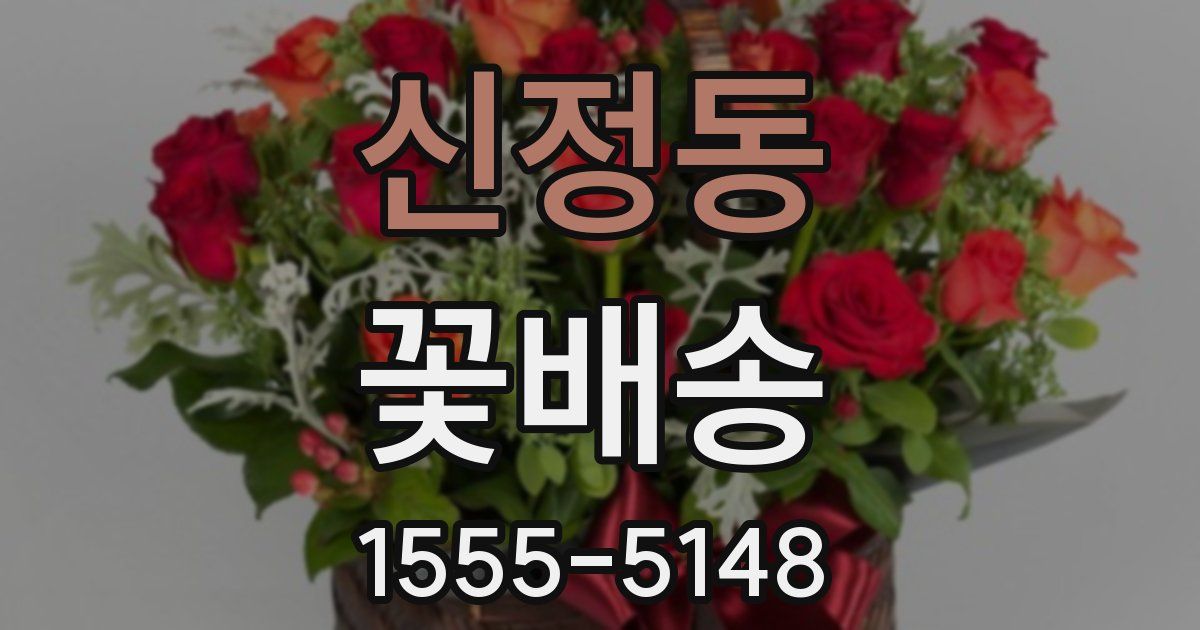 신정동 꽃배송