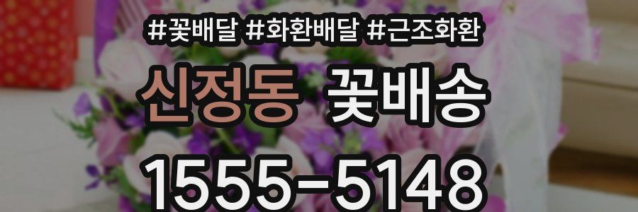 신정동 꽃배송