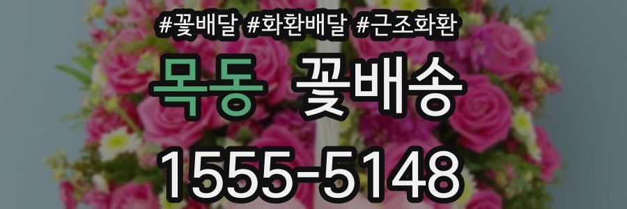 목동 꽃배송