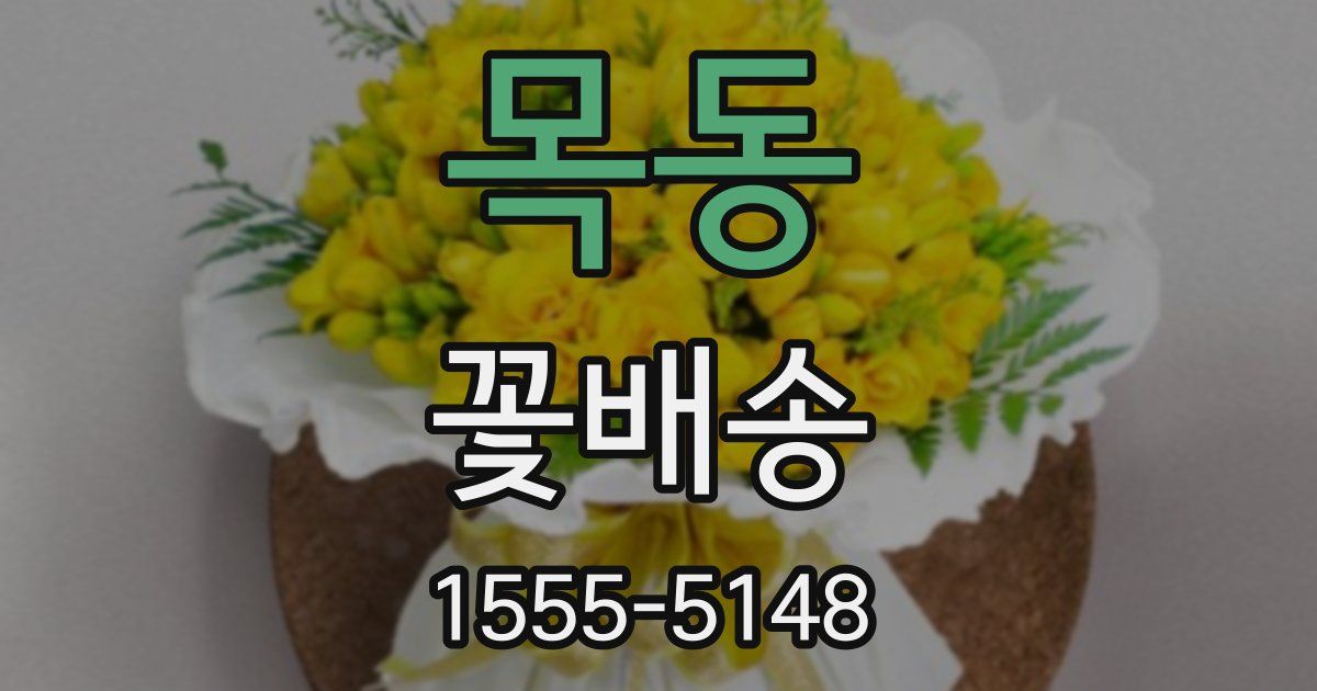 목동 꽃배송