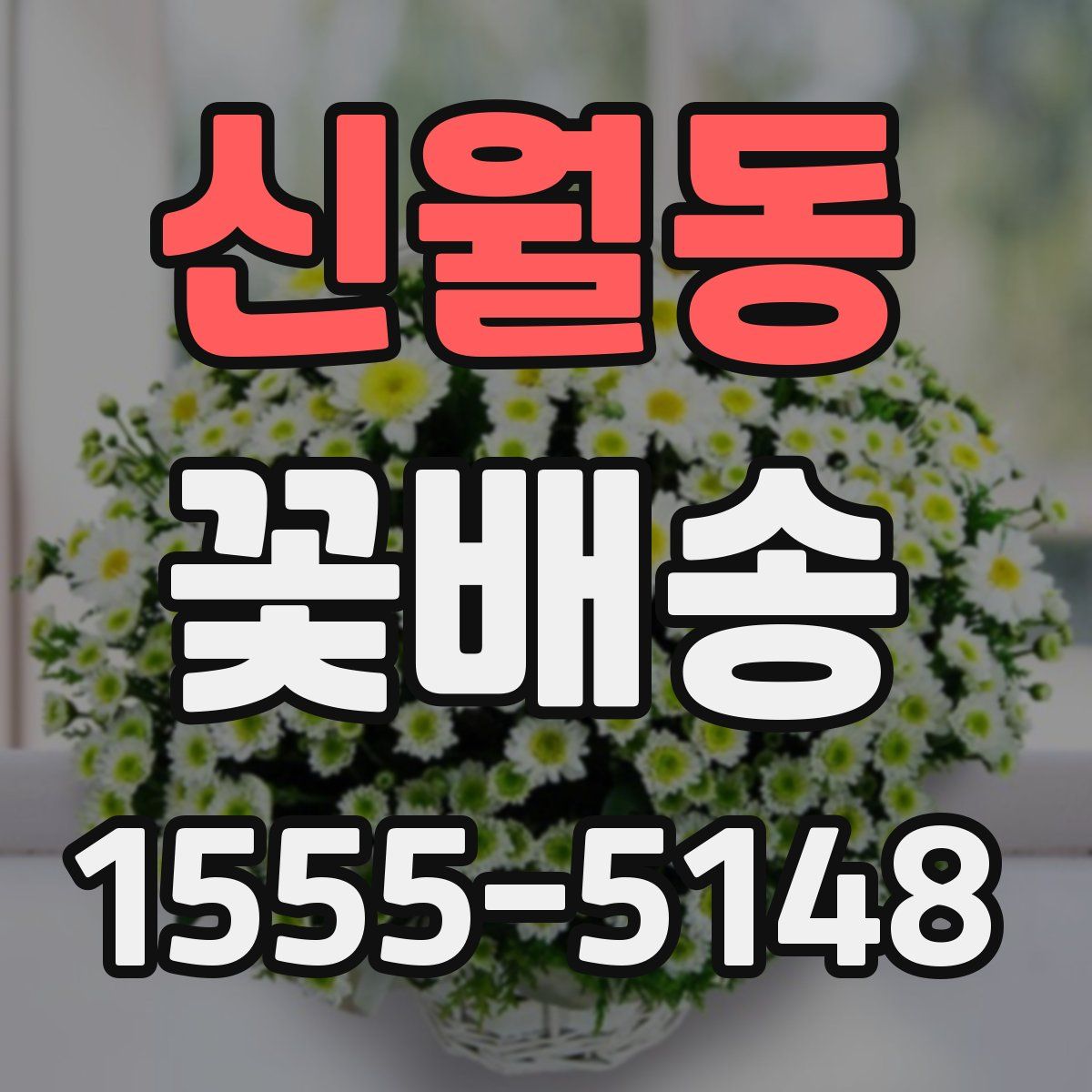 신월동 꽃배송