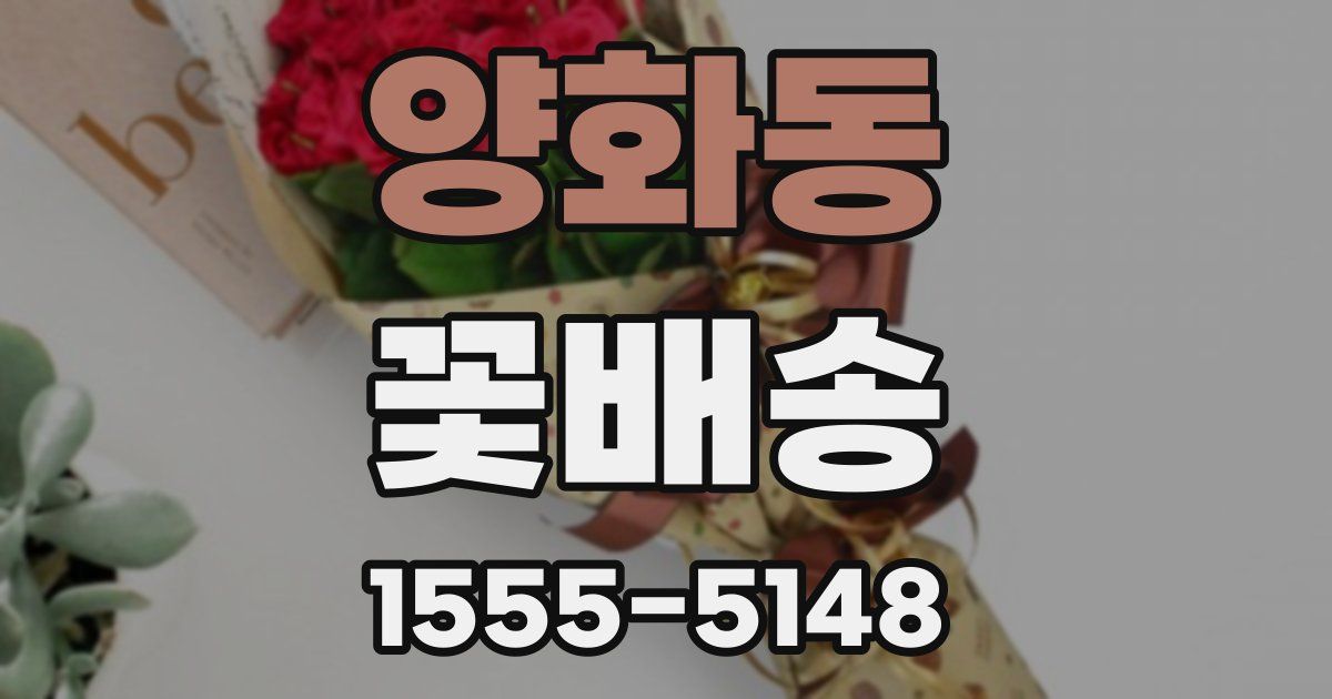 양화동 꽃배송