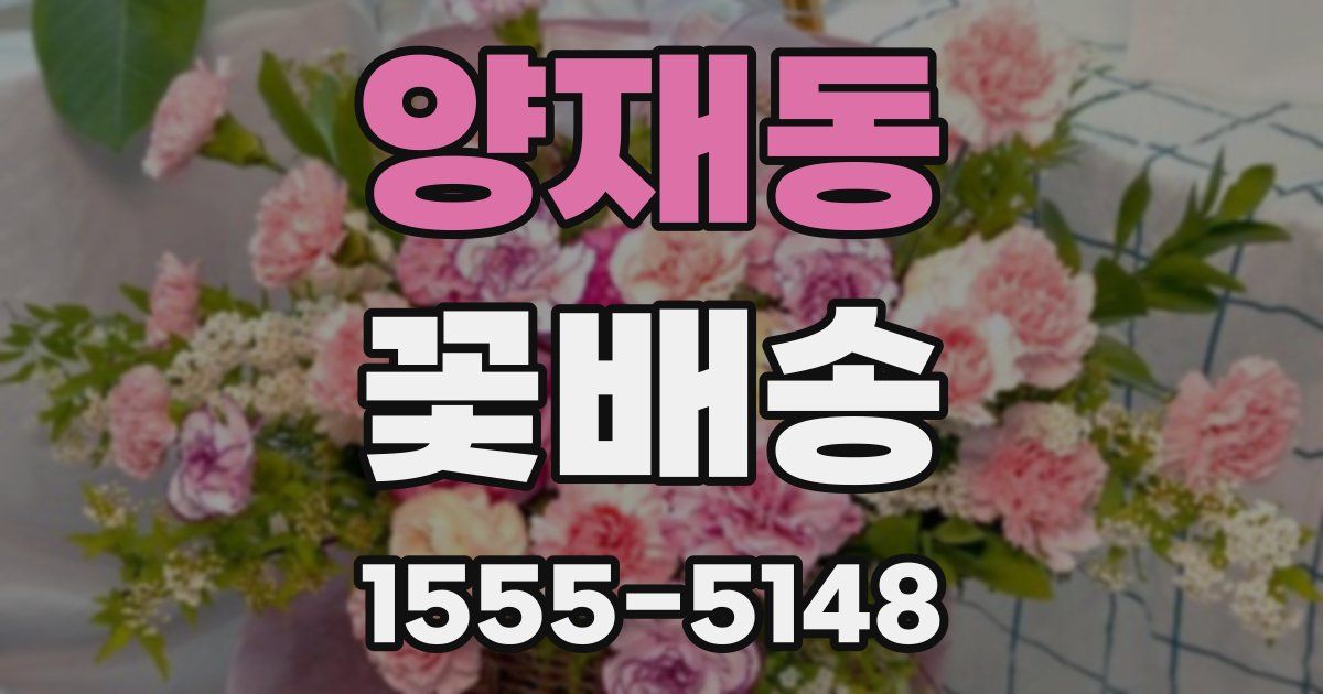 양재동 꽃배송