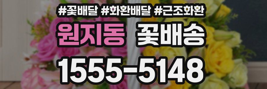 원지동 꽃배송