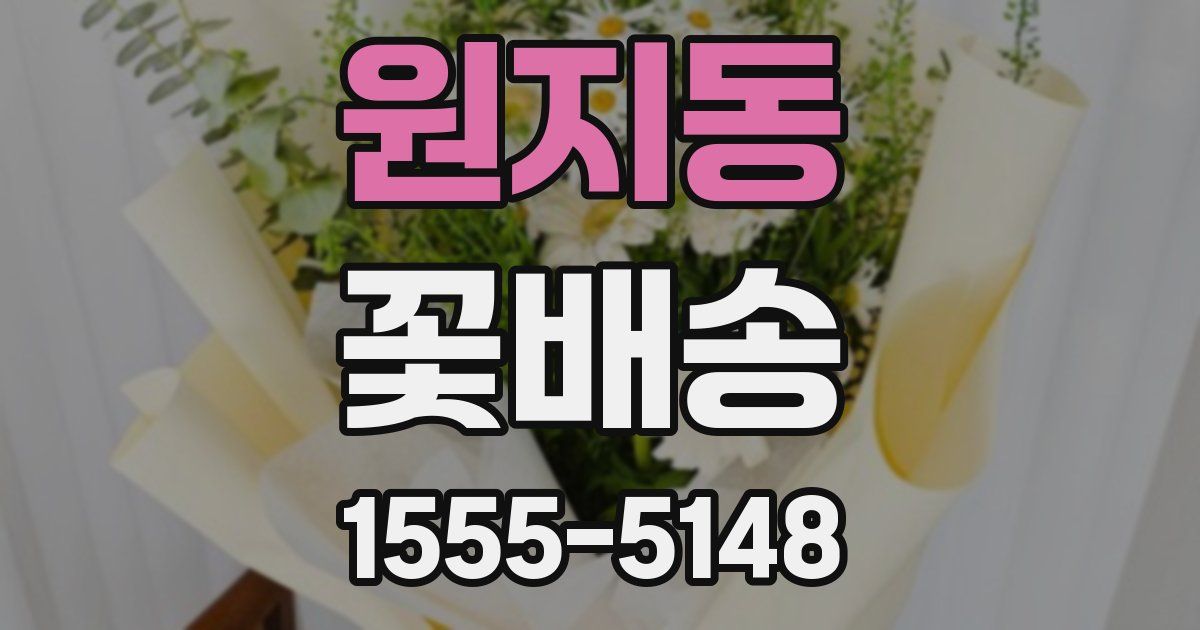 원지동 꽃배송