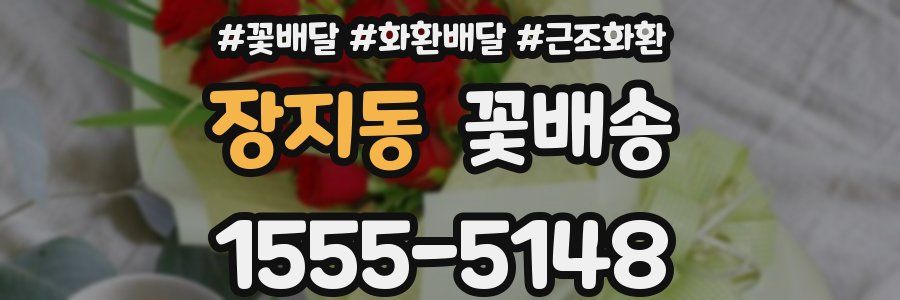 장지동 꽃배송