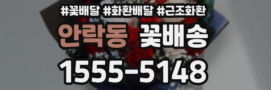 안락동 꽃배송