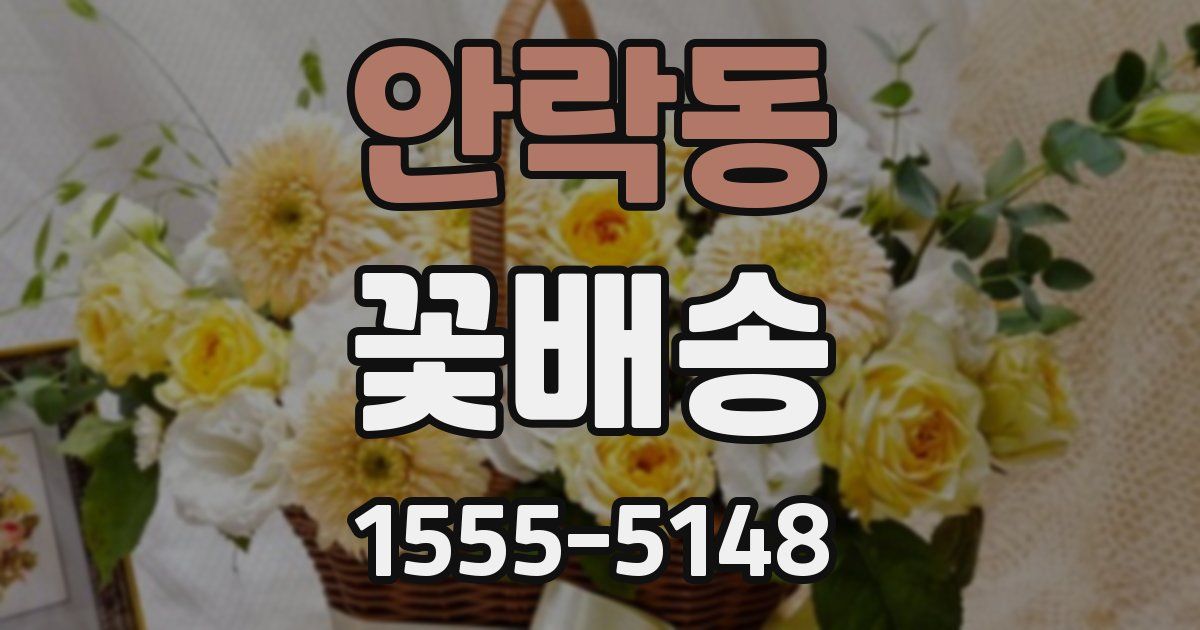 안락동 꽃배송