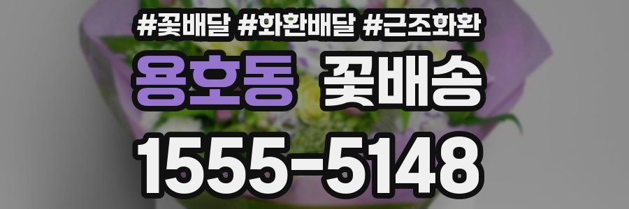 용호동 꽃배송