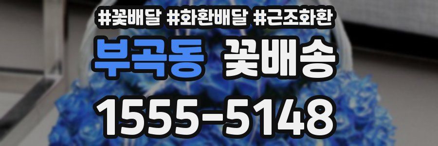 부곡동 꽃배송