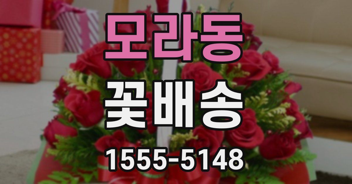 모라동 꽃배송