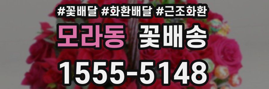 모라동 꽃배송