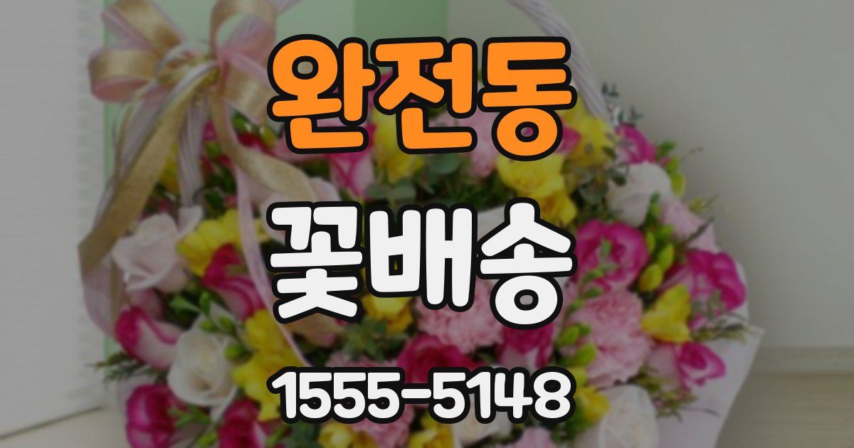 완전동 꽃배송