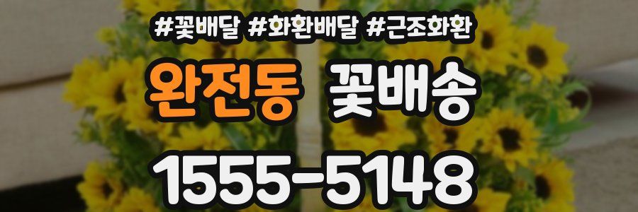 완전동 꽃배송