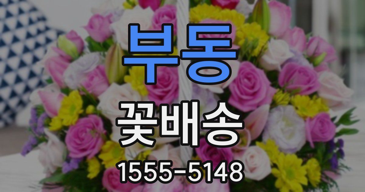 부동 꽃배송