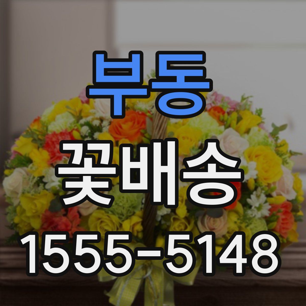 부동 꽃배송