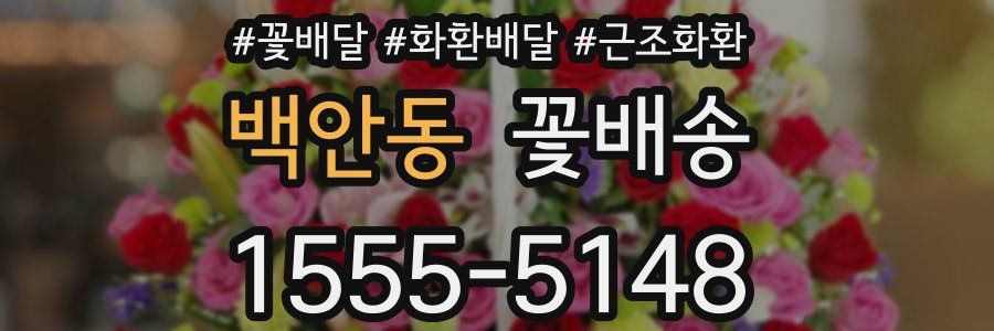 백안동 꽃배송