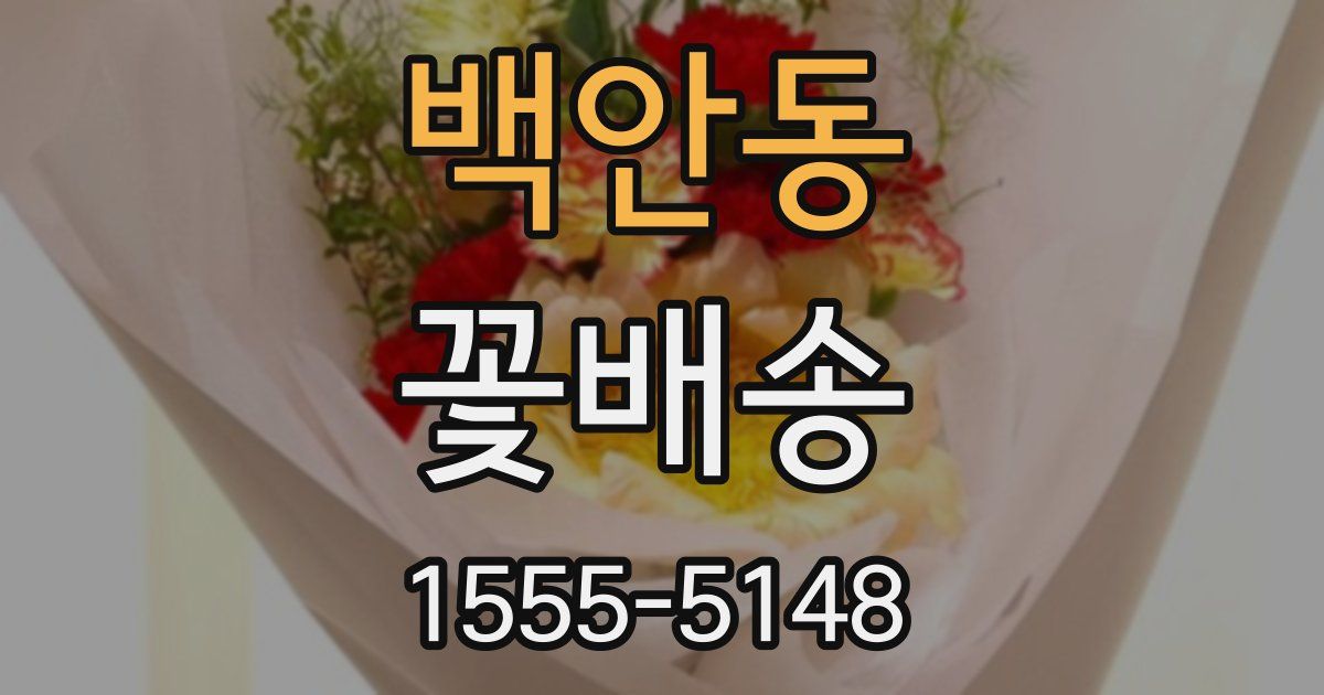 백안동 꽃배송