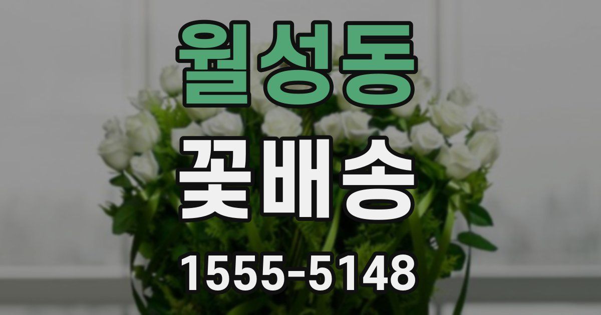 월성동 꽃배송