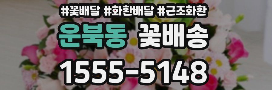 운북동 꽃배송