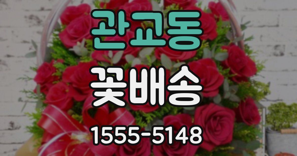 관교동 꽃배송