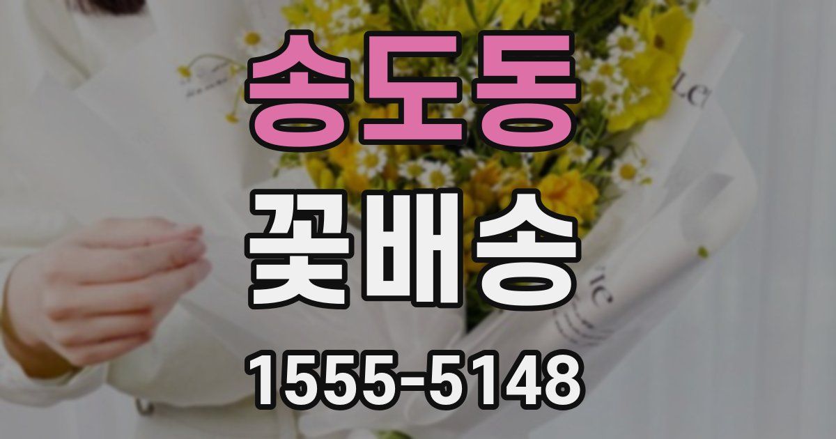 송도동 꽃배송